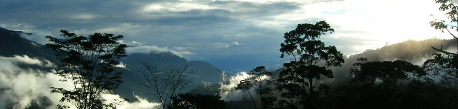 Mining Conflict in Cordillera del Cóndor | Acción Ecológica, Ecuador