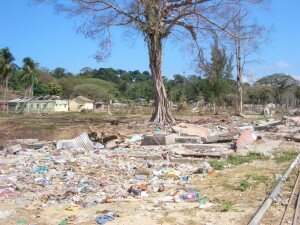 Nicobar - Waste (original) Nicobar - Waste (original)